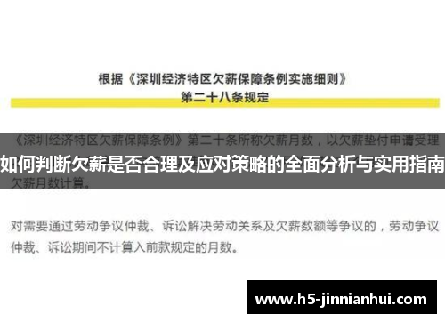 如何判断欠薪是否合理及应对策略的全面分析与实用指南