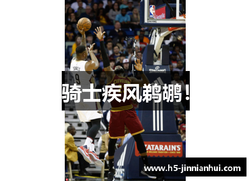 骑士疾风鹈鹕！